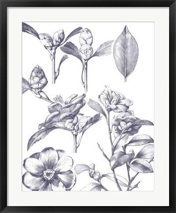 Framed Lithograph Florals II Blue Print