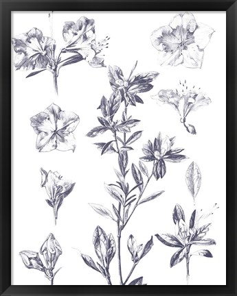 Framed Lithograph Florals I Blue Print