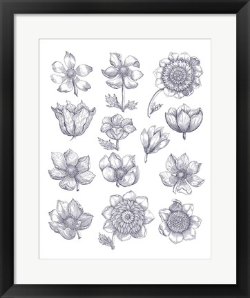 Framed Anemone Plate I Blue Print