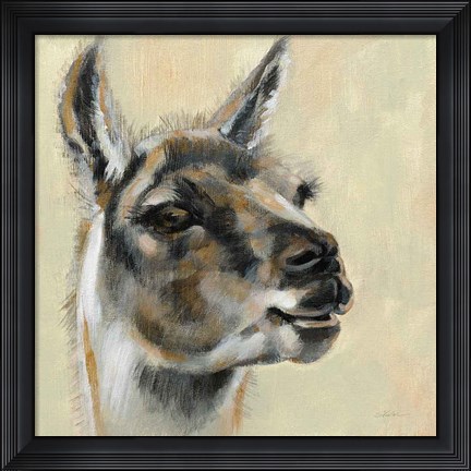 Framed Llama Portrait Print