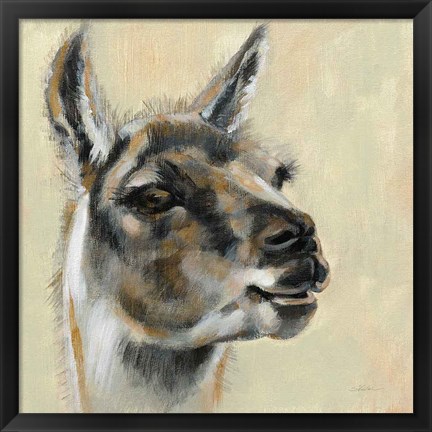 Framed Llama Portrait Print