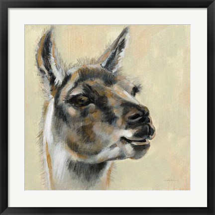 Framed Llama Portrait Print