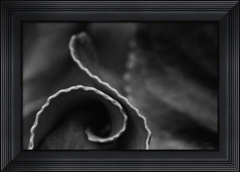 Framed Circling Around Print