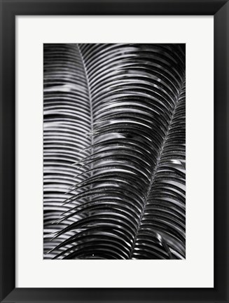 Framed Tropical III Print