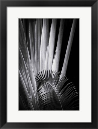 Framed Tropical II Print