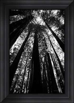 Framed Stand BW Print