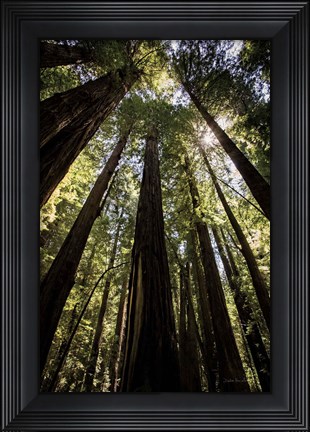 Framed Stand Print
