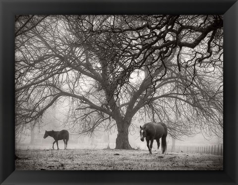 Framed Morning Calm II BW Print