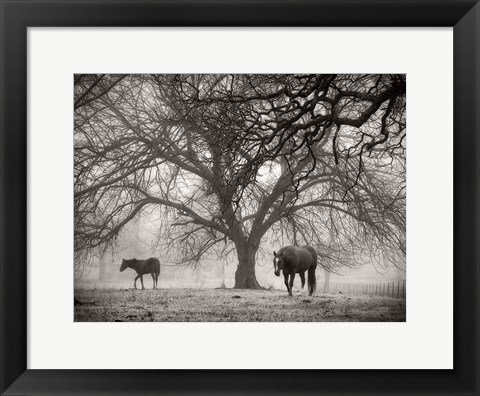 Framed Morning Calm II BW Print