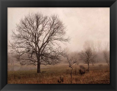 Framed Morning Calm IV Print