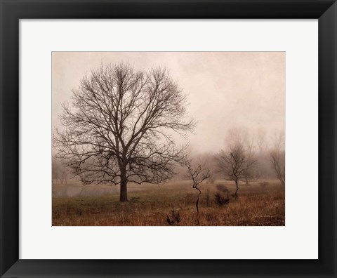 Framed Morning Calm IV Print