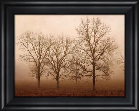 Framed Morning Calm III Print