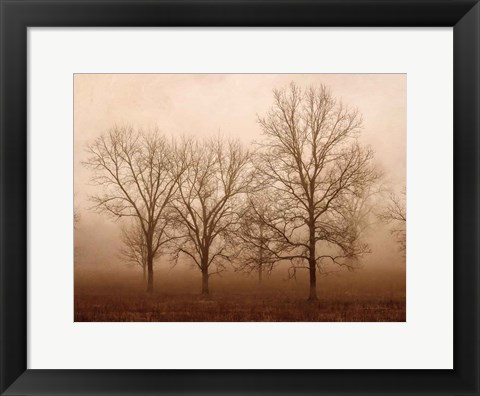 Framed Morning Calm III Print