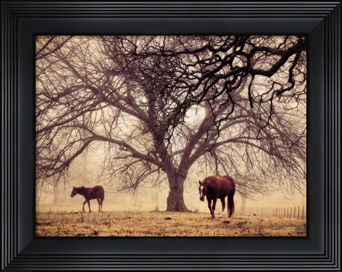 Framed Morning Calm II Print
