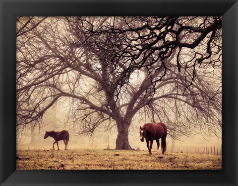 Framed Morning Calm II Print