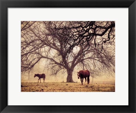 Framed Morning Calm II Print