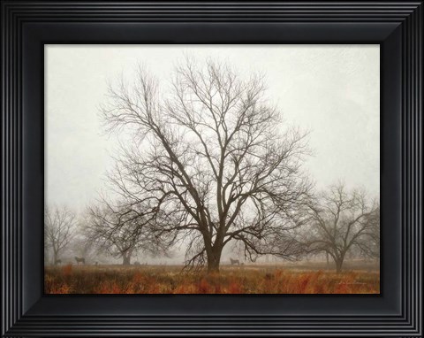 Framed Morning Calm I Print