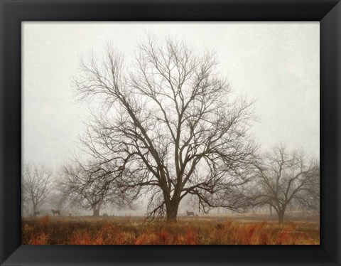 Framed Morning Calm I Print