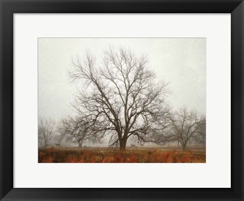 Framed Morning Calm I Print