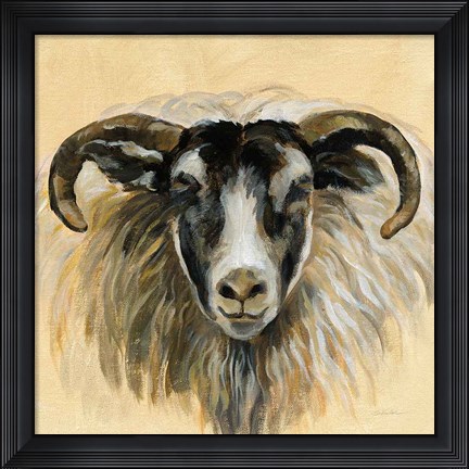 Framed Highland Animal Ram Print