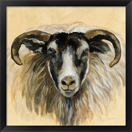 Framed Highland Animal Ram Print