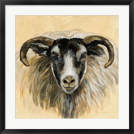 Framed Highland Animal Ram Print