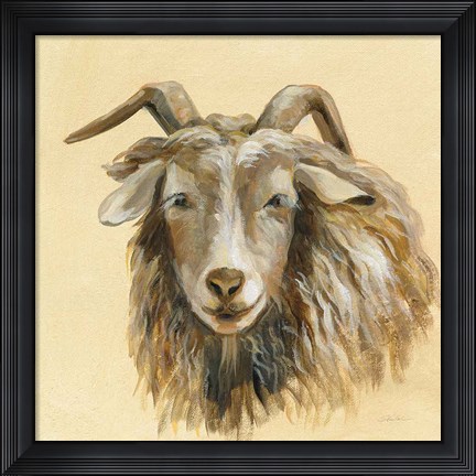Framed Highland Animal Sheep Print