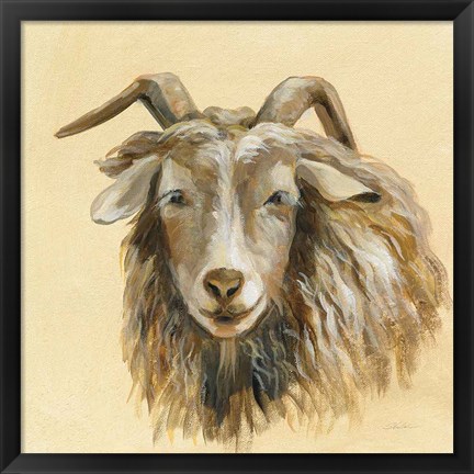 Framed Highland Animal Sheep Print