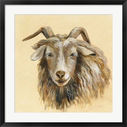 Framed Highland Animal Sheep Print