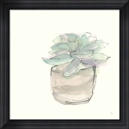 Framed Succulent IV Print