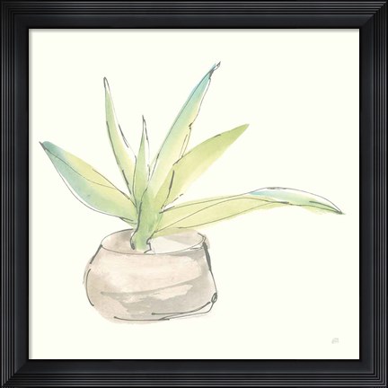 Framed Succulent III Print