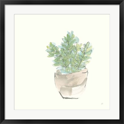 Framed Succulent II Print