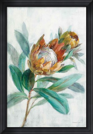 Framed Tropical Protea Print