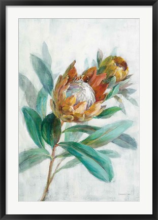 Framed Tropical Protea Print