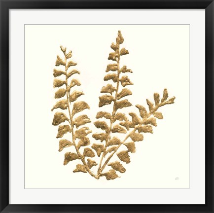 Framed Gilded Fern III Print