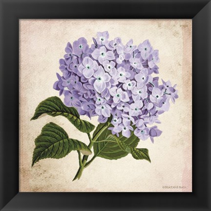 Framed Vintage Lilac Print