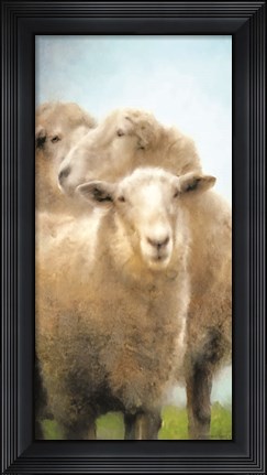 Framed Three Sheep Portrait Print