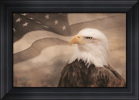 Framed US Symbols Print