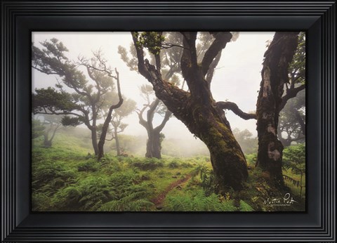 Framed Perfect Quietness Print