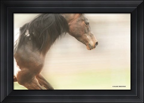 Framed Leap of Faith Print