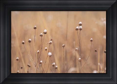 Framed Snow Capped Wildflowers Print