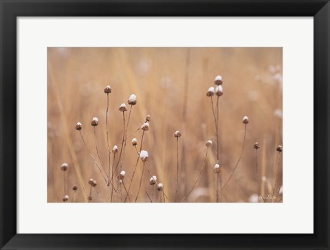 Framed Snow Capped Wildflowers Print