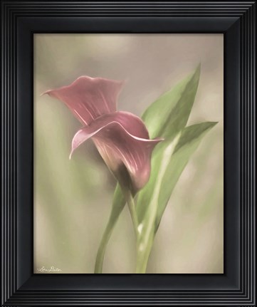 Framed Pink Calla Lily Print