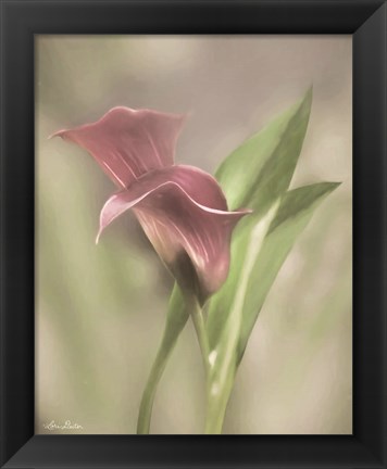 Framed Pink Calla Lily Print