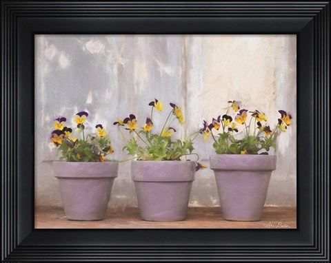 Framed Pansy Still Life I Print