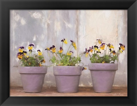 Framed Pansy Still Life I Print