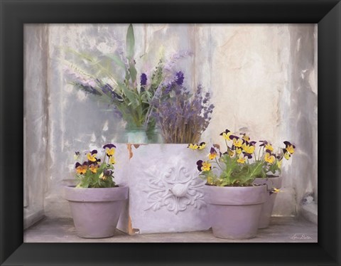 Framed Pansy Still Life II Print