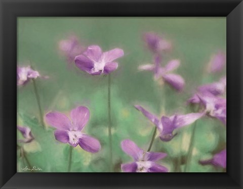 Framed Wild Violets Print