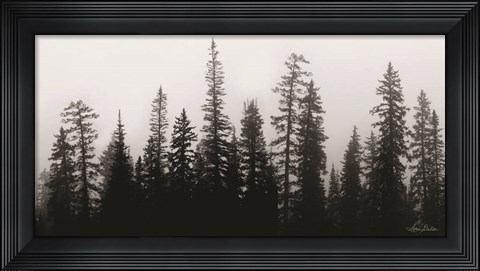 Framed Rocky&#39;s Trees Print