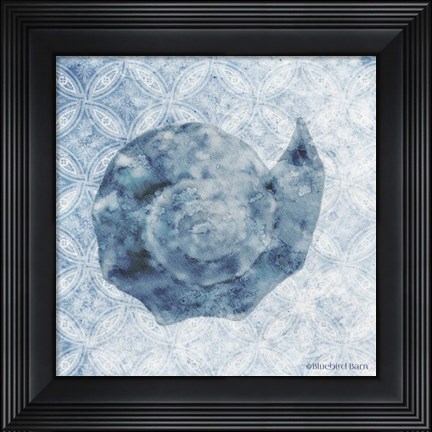 Framed Seashell II Print